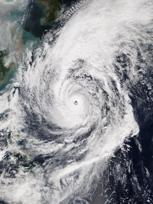 滋賀県に台風21号上陸‼️屋根の被害修繕に正しい対処方を‼️